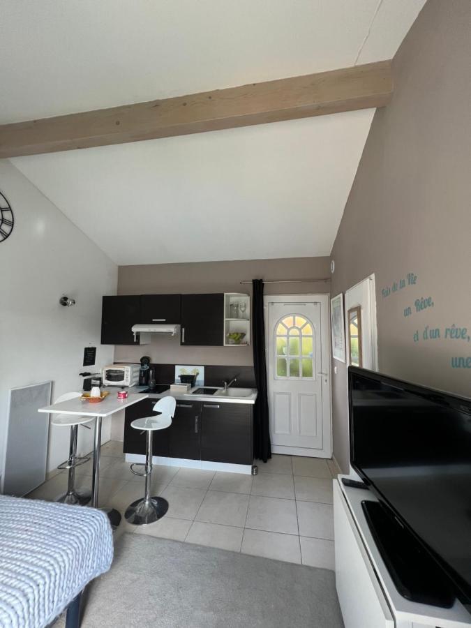 Studio Riquet Independant Attenant A Villa Capestang Exterior foto